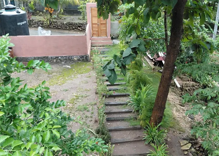 Ameli Nusa Penida